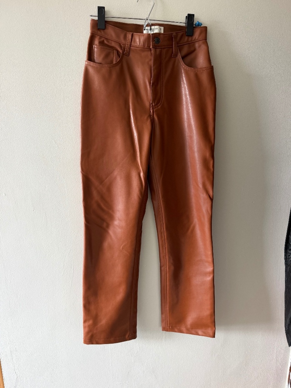 Vegan Leather Abercrombie Pants